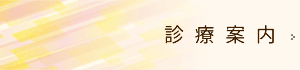 診療案内｜内科　望月医院　流山市江戸川台